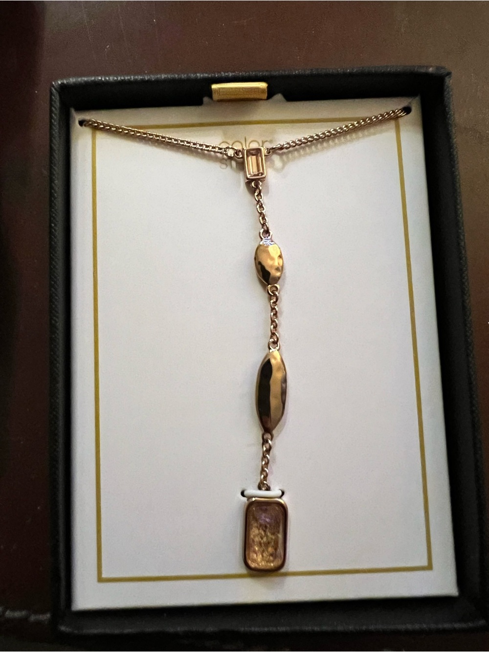 Color Street Rose Gold Y-Drop Pendant Necklace